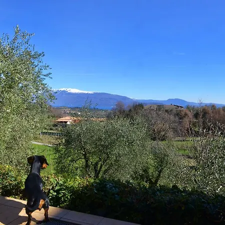Antiche Mura